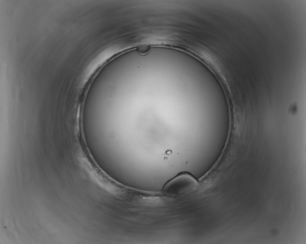 X0000116821227200912181400