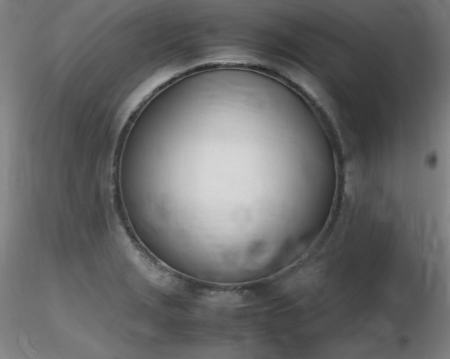 X0000116821229200912181400
