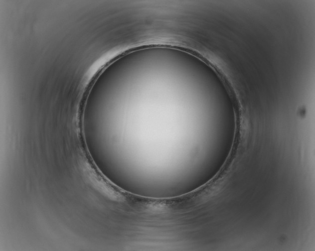 X0000116821230200912181400