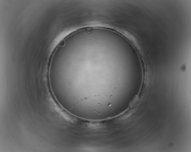 X0000116821231200912181400