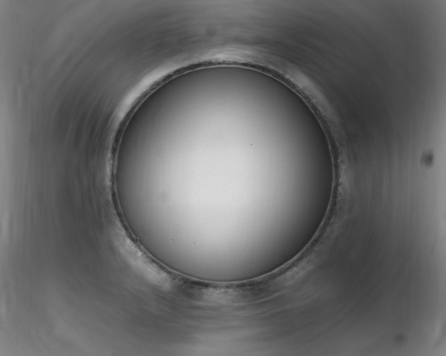 X0000116821232200912181400
