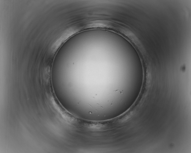 X0000116821233200912181400