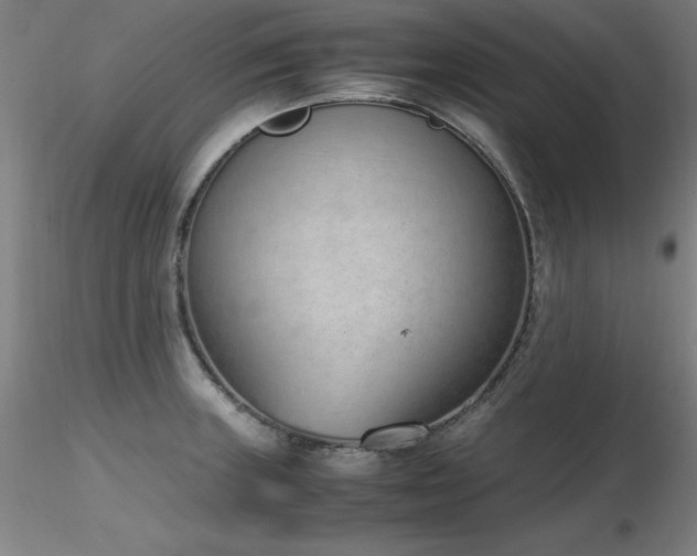 X0000116821235200912181400