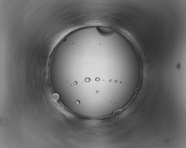 X0000116821236200912181400