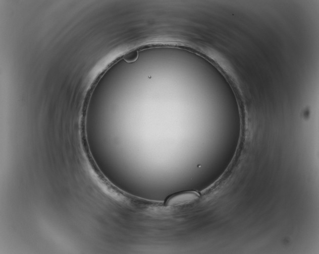 X0000116821237200912181400