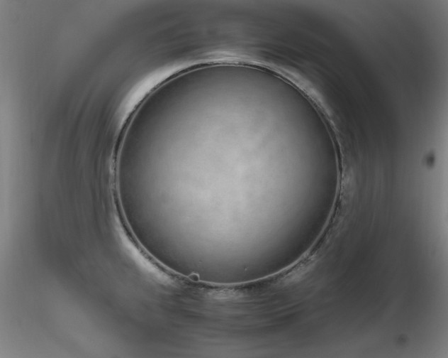 X0000116821239200912181400