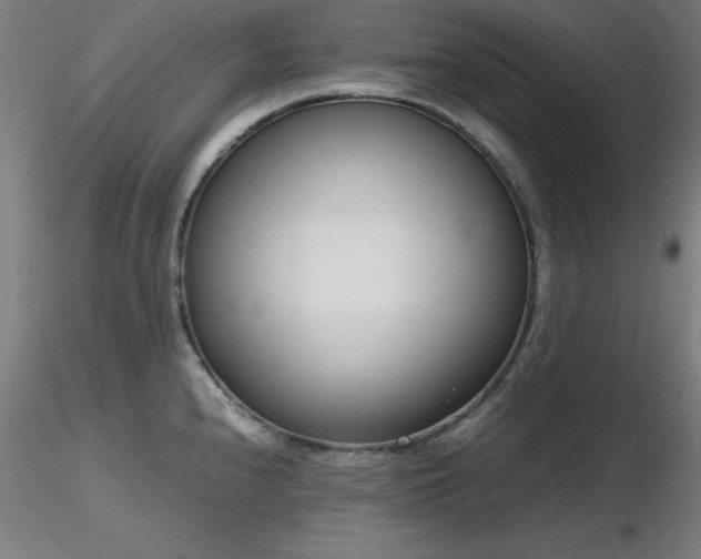 X0000116821240200912181400