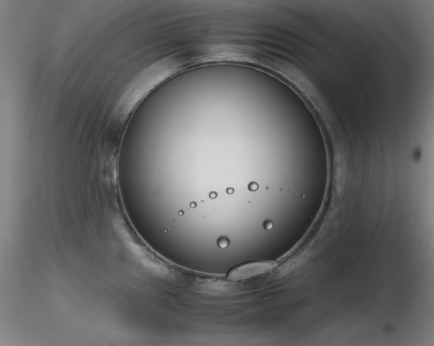 X0000116821241200912181400