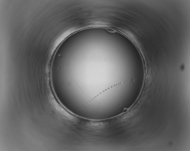X0000116821243200912181400