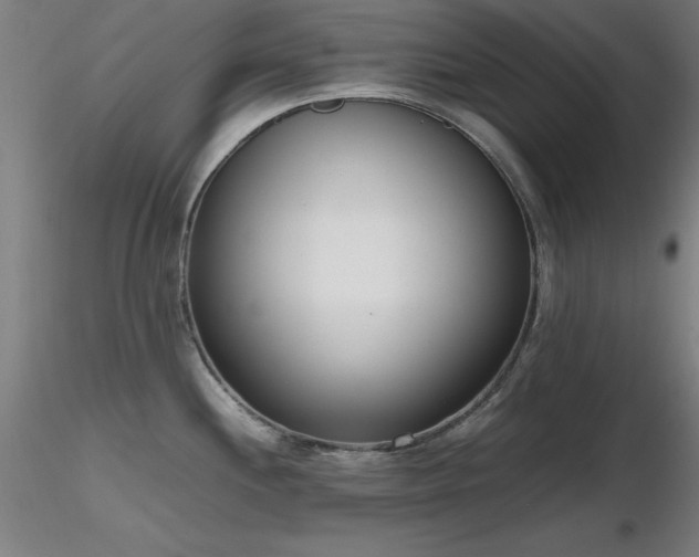 X0000116821244200912181400