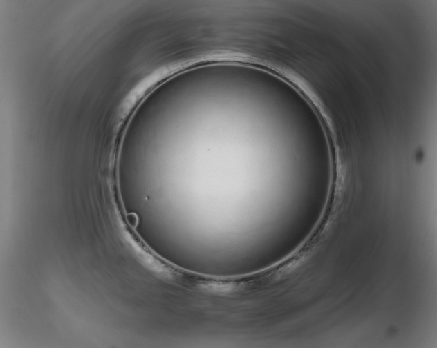 X0000116821245200912181400
