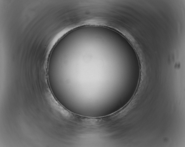 X0000116821248200912181400