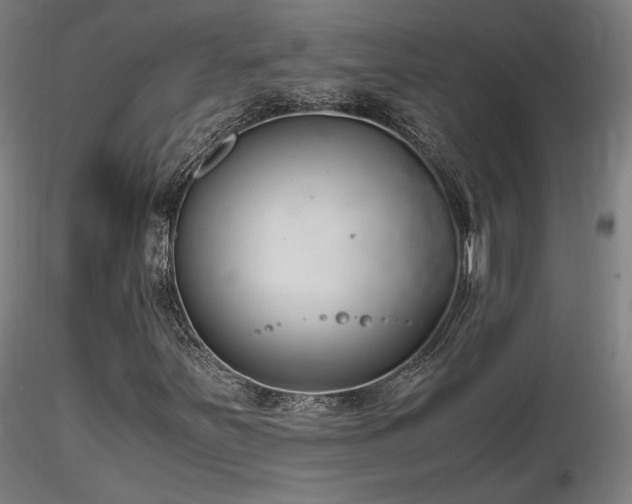 X0000116821251200912181359