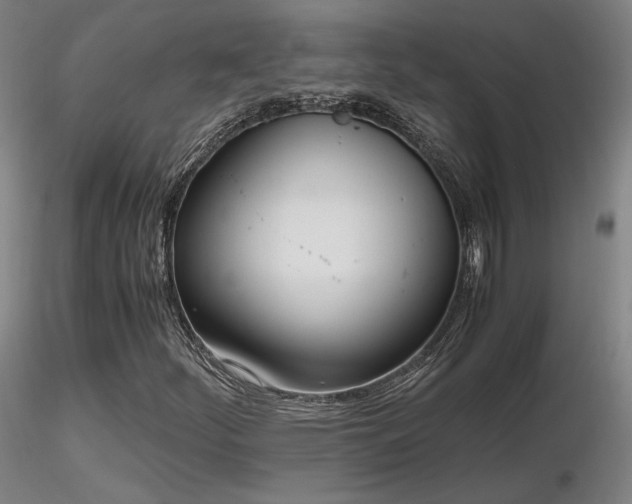 X0000116821252200912181359