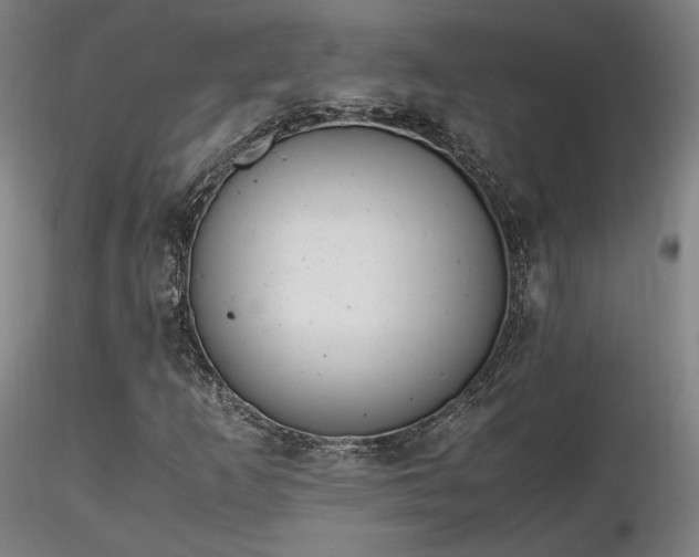 X0000116821253200912181359
