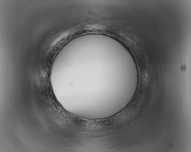 X0000116821254200912181359