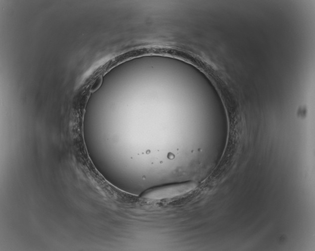 X0000116821255200912181359