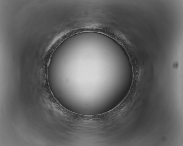 X0000116821256200912181359