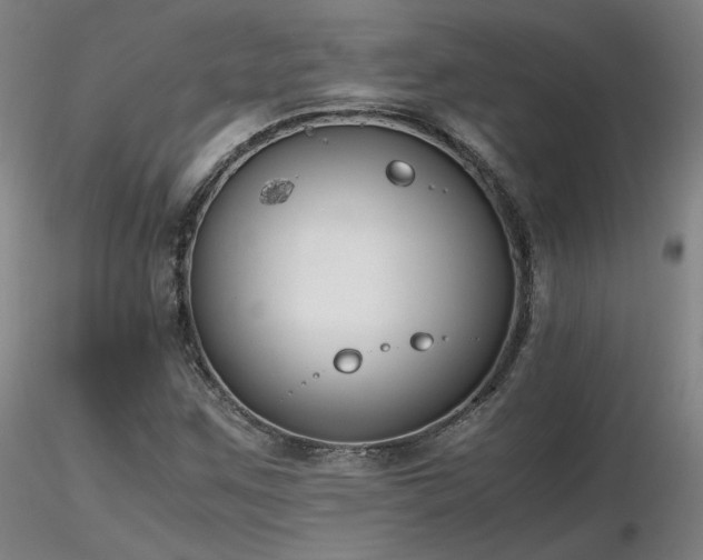 X0000116821259200912181359
