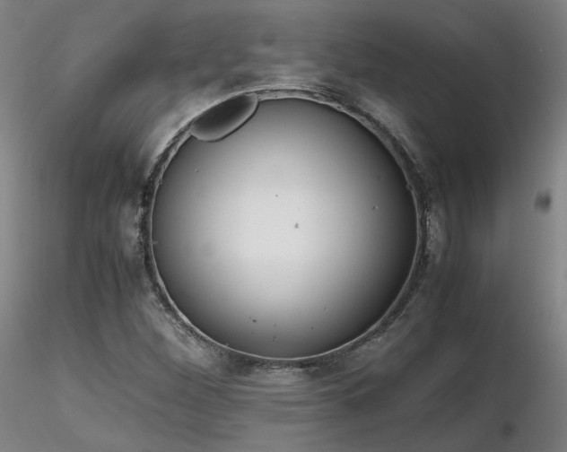 X0000116821260200912181359