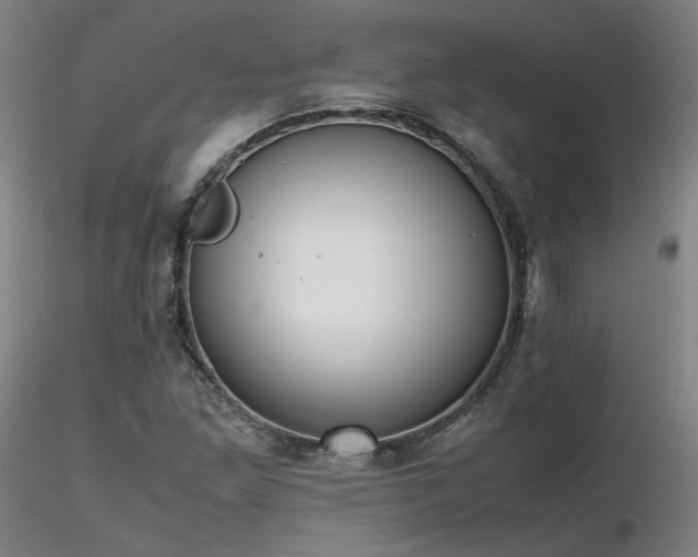 X0000116821261200912181359
