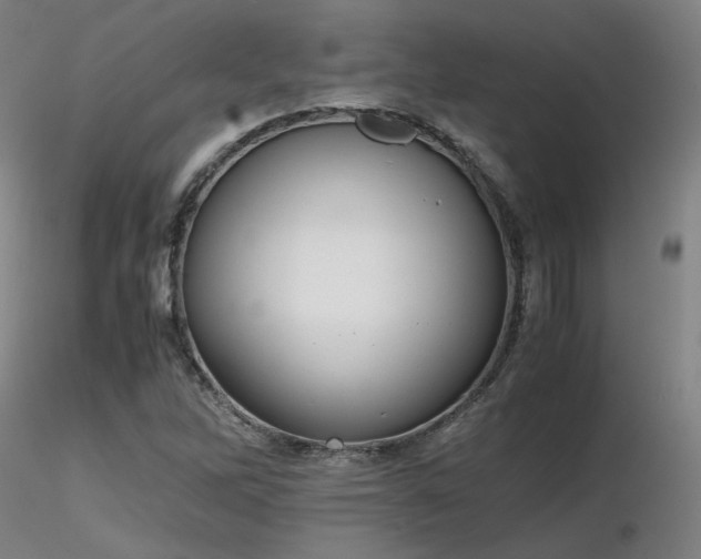 X0000116821262200912181359