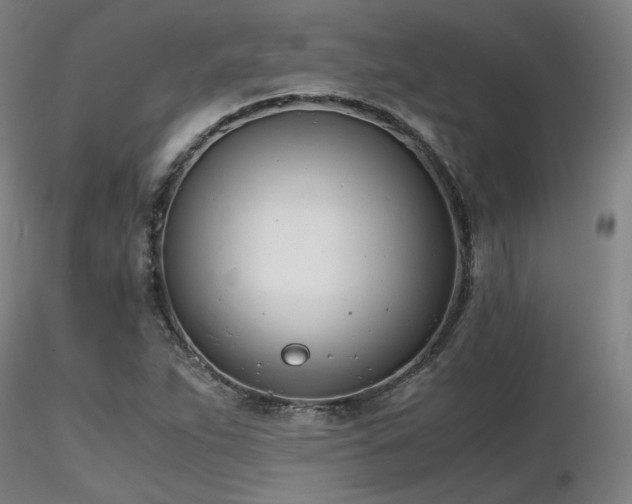 X0000116821263200912181359
