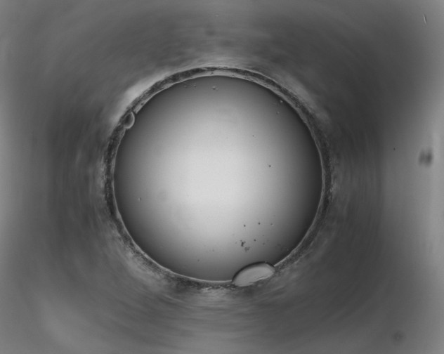 X0000116821264200912181359