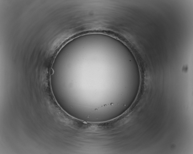 X0000116821265200912181359