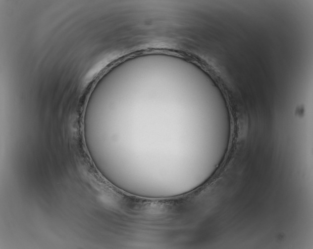 X0000116821266200912181359