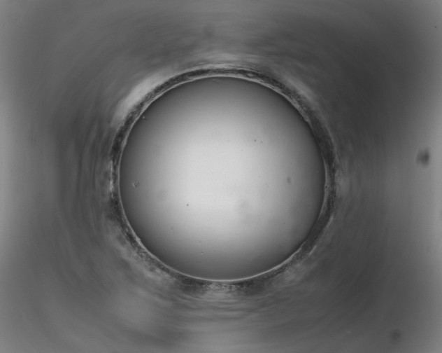 X0000116821267200912181359