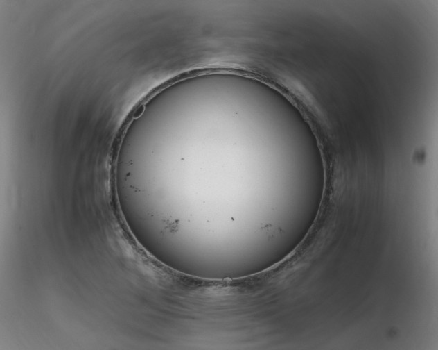 X0000116821268200912181359