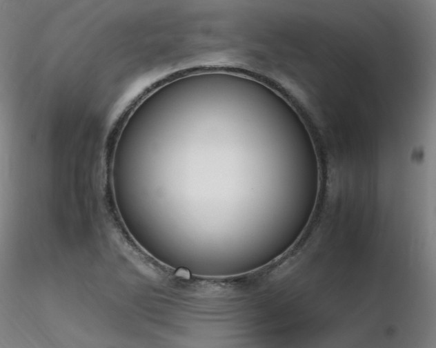 X0000116821270200912181359
