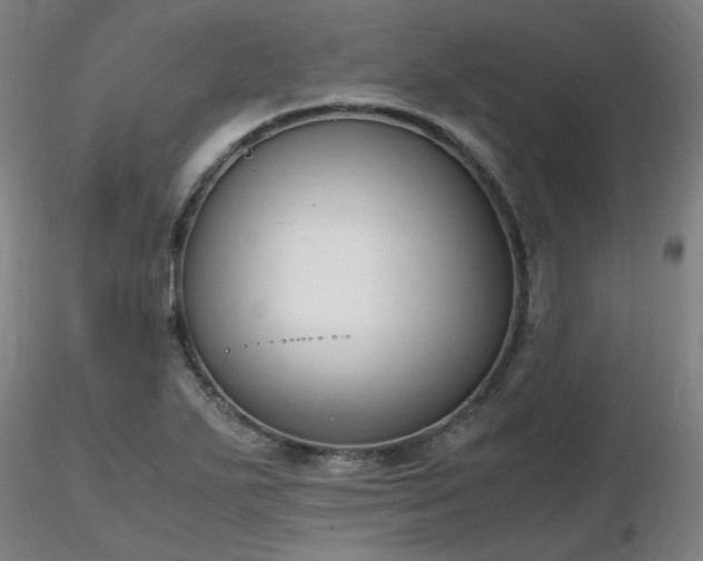 X0000116821271200912181359