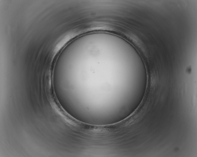 X0000116821274200912181359