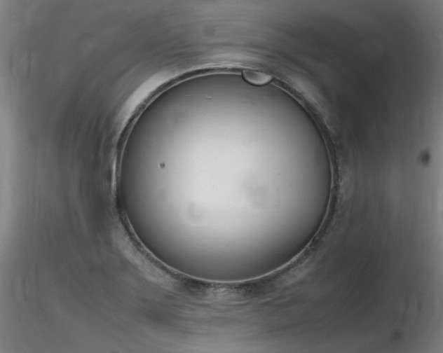 X0000116821275200912181359