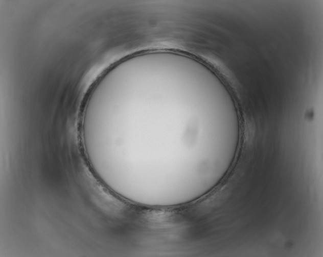 X0000116821278200912181359
