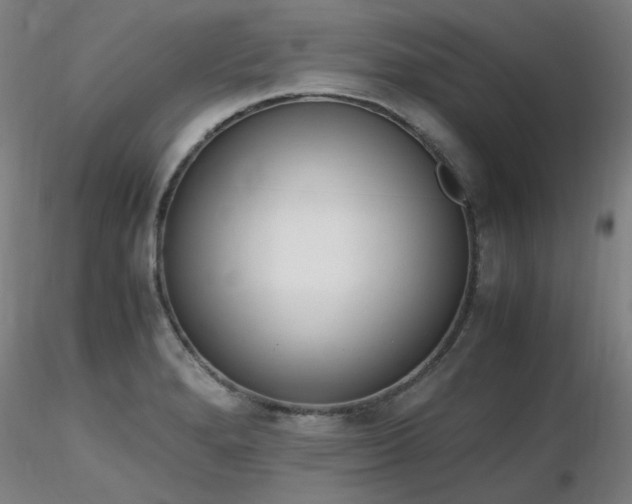 X0000116821280200912181359