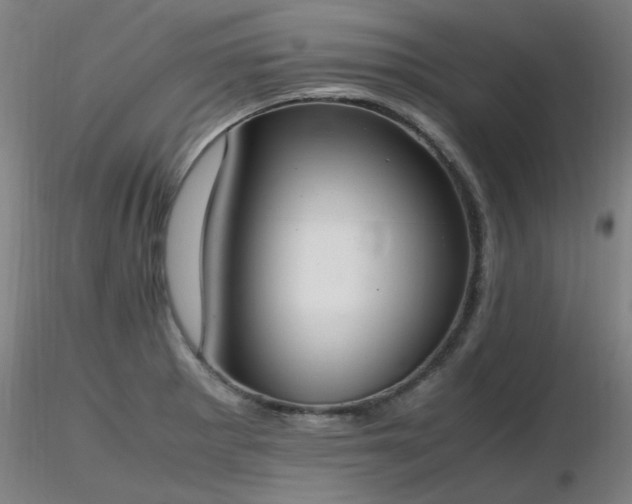 X0000116821281200912181359