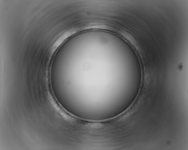 X0000116821282200912181359