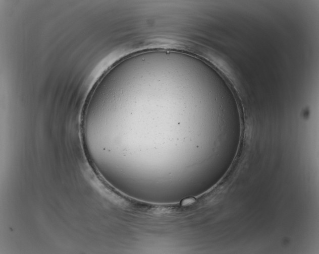 X0000116821283200912181359
