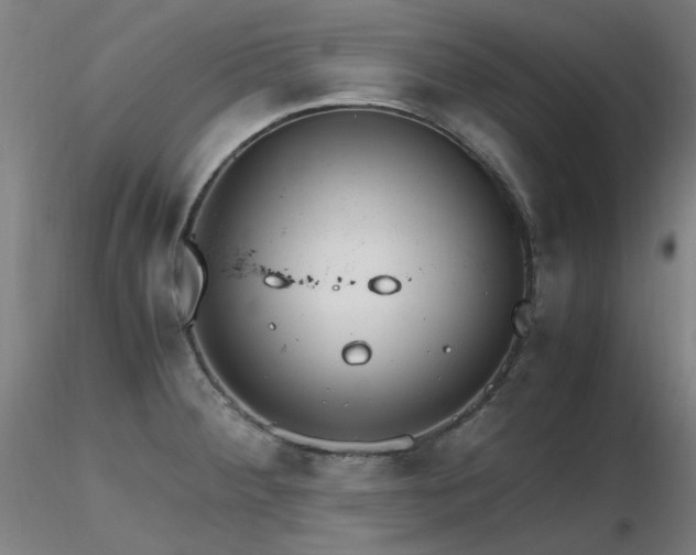 X0000116821284200912181359