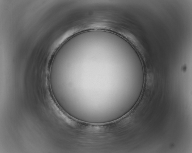 X0000116821286200912181359