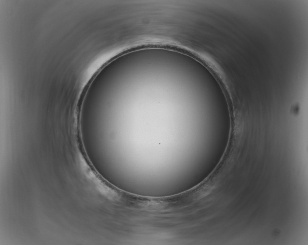 X0000116821287200912181359