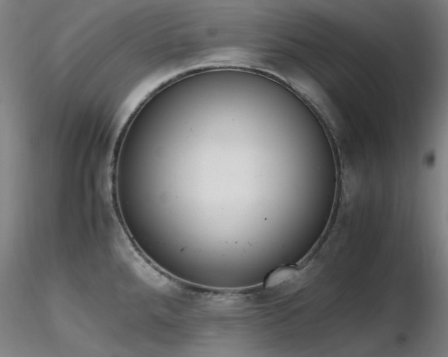 X0000116821288200912181359
