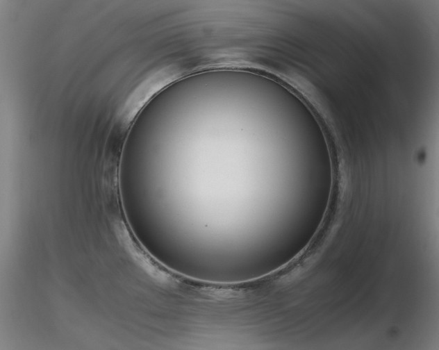 X0000116821289200912181359