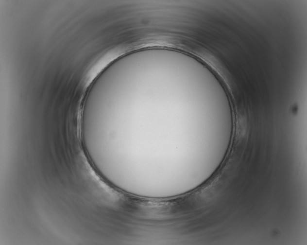 X0000116821290200912181359