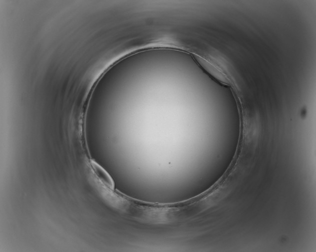 X0000116821292200912181359