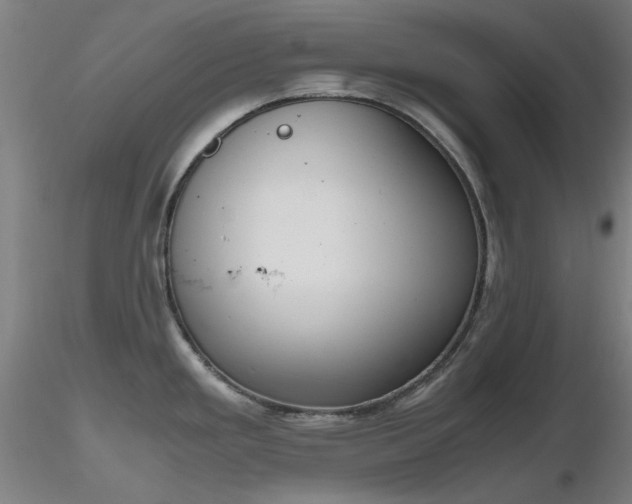 X0000116821293200912181359