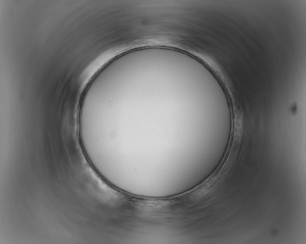 X0000116821294200912181359